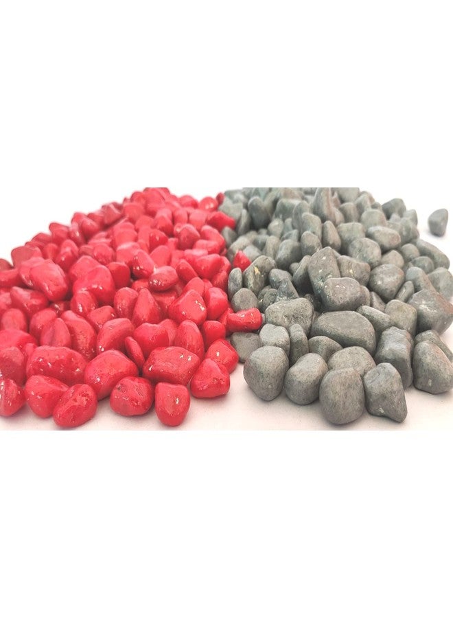 Power Stone Decorative Coloured Painted Asymmetric Marble Stone Pebbles for Vase Filler Plant Pots Aquarium Home Garden Outdoor Decoration (Red & Grey, 1 Kg) - Image 3